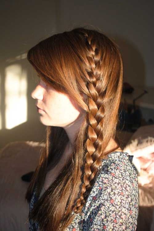 Long Beautiful Hair with Braids