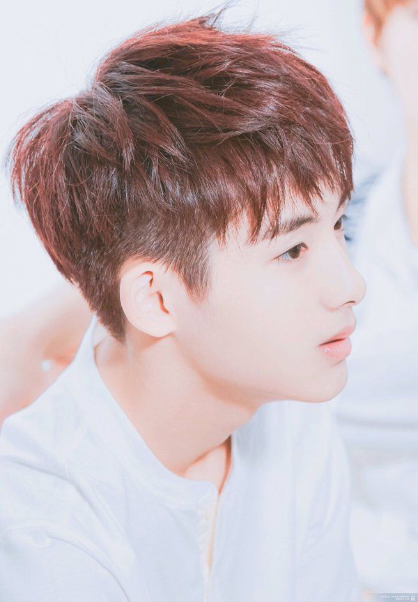 Nct Winwin | Two block haircut, Korean haircut, Korean ...