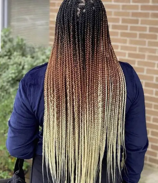 Long Ombre Crochet braids