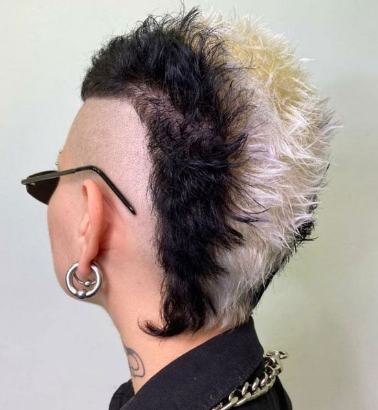 Mohawk Skunk Hair