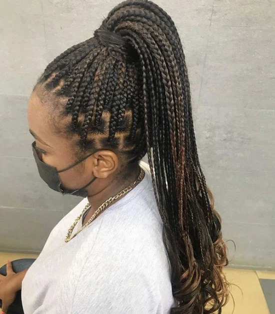 Ponytail Medium Box Braids