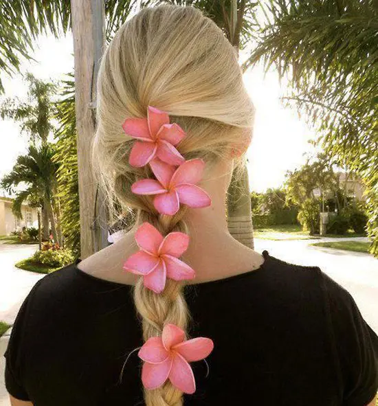 Pink Plumeria Braid