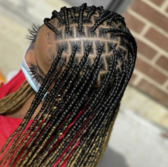 Neat Small Box Braids