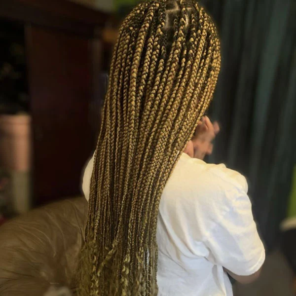 Honey Blonde Tribal Braids