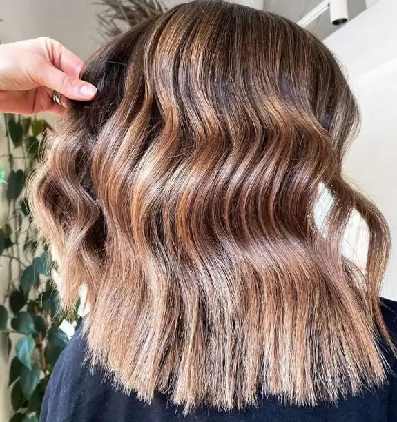 Honey Blonde Highlights