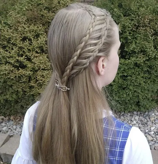 Ladder Braids