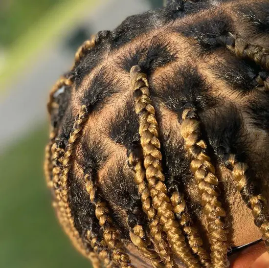 Knotless Braids