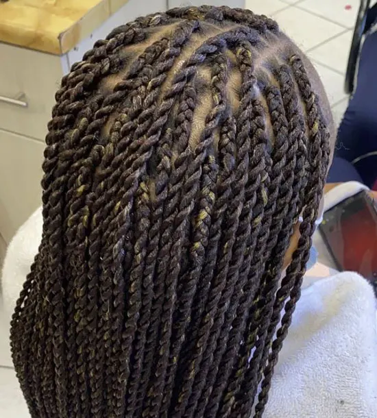 Twisted Medium Box Braids