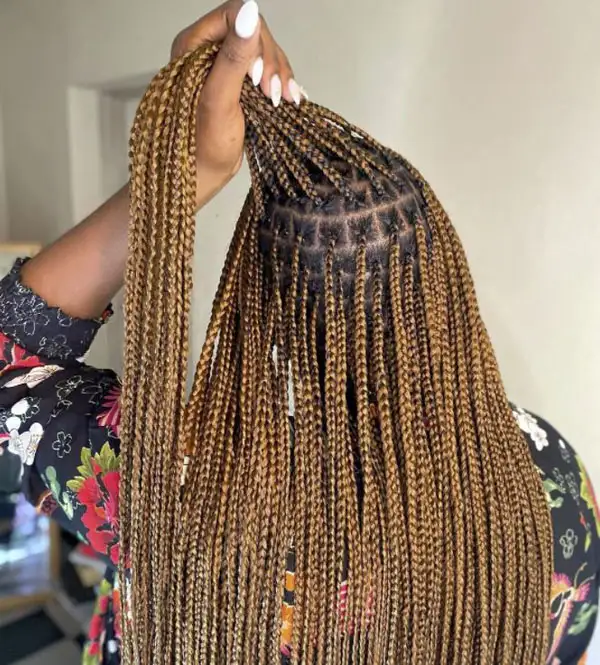 Brown Tribal Braids