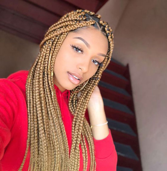 Chestnut Medium Box Braids