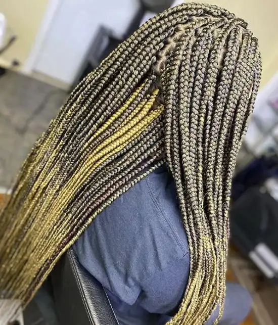 Small Extended Box Braids