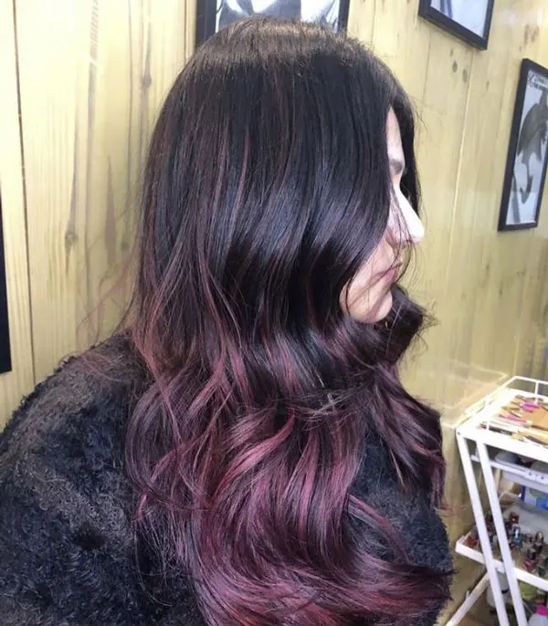 Wolf Cut with Burgundy Highlights