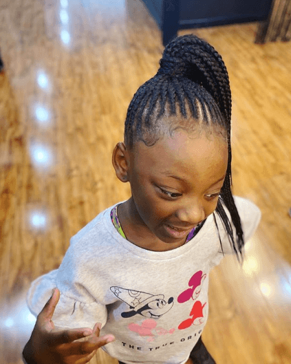 Braided Hairstyle With Ponytail