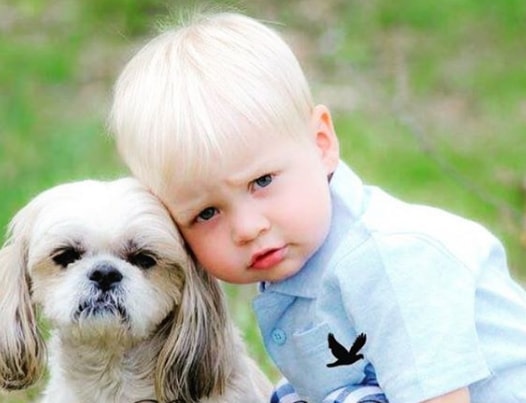 baby boy Forward Swept White Hair Style