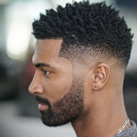 Professional Black Male Twist Hairstyles