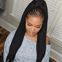 Black Hairstyles Of Braids