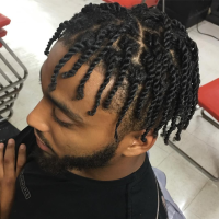 Black Men Twist Hairstyles