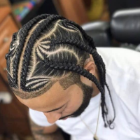 Plaits Hairstyles For Black Hair Male