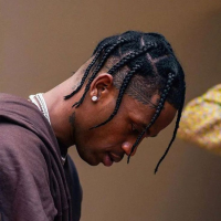 Travis Scott Braids: Truly The Highest In the Room