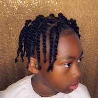 Twist Hairstyles Boys Black