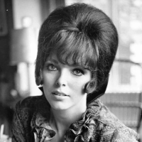 A Guide to Chic 1960s Hairstyles for Women