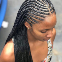 Black Braids Hairstyles Pictures