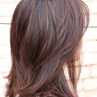 Medium Length Layered Thick Hair Hairstyles