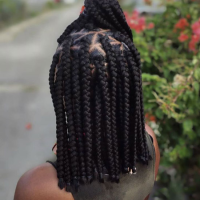 Jumbo Knotless Braids: A New Braiding Concept 