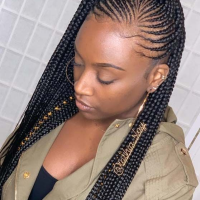 Half Up Half Down Braided Hairstyles Black Woman