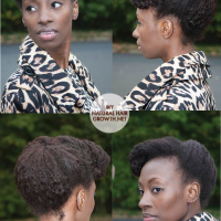 Tuck And Pin Natural Hairstyles