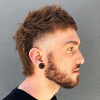 Mens Mullet Hairstyles