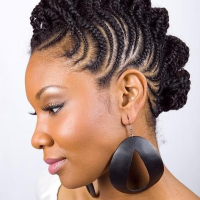 Black Hairstyles 2013 Braids