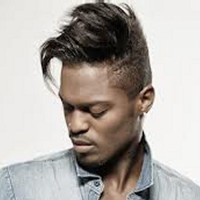 Black Male Hairstyles 2014