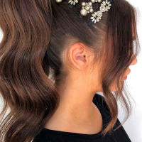 Long Hairstyles With Barrettes