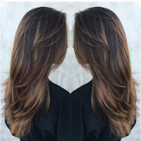 Long Layered Brown Hairstyles