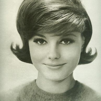 1960s Hairstyles For Short Hair