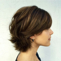 Www Short Hairstyles Layers Com