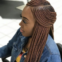 Hairstyles Lemonade Braids