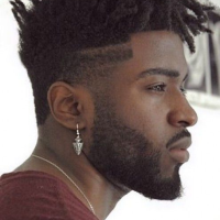 Twist Black Men Hairstyles Long Hair