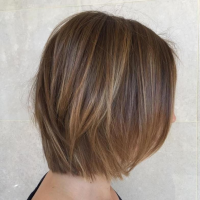 Short Brown Hairstyles With Highlights