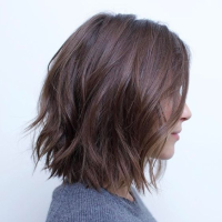 Short Hairstyles With Brown Hair