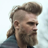 Mens Viking Hairstyles