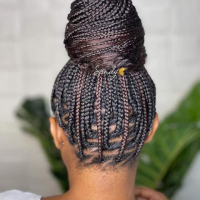 50 PHOTOS: Inspiration Hairstyle Protective Braids Style Twist Style