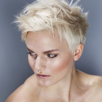 Blonde Short Hairstyles 2014