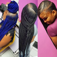 Latest Braids Hairstyles 2021 Pictures For Ladies