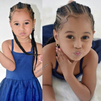 Braided Hairstyles For Biracial Girls