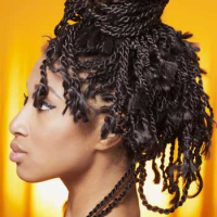 Black Hairstyles for Women Pictures #23