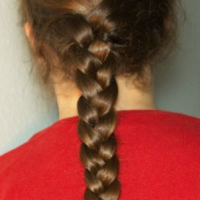 English Braids Hairstyle