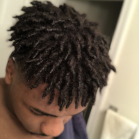 Dreads Black Men Hairstyles Twists