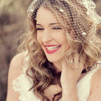 Long Wedding Hairstyles With Birdcage Veil